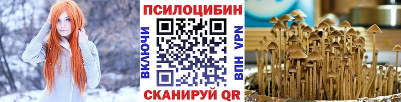 наркотики  Беслан  Галлюциногенные грибы Cubensis 